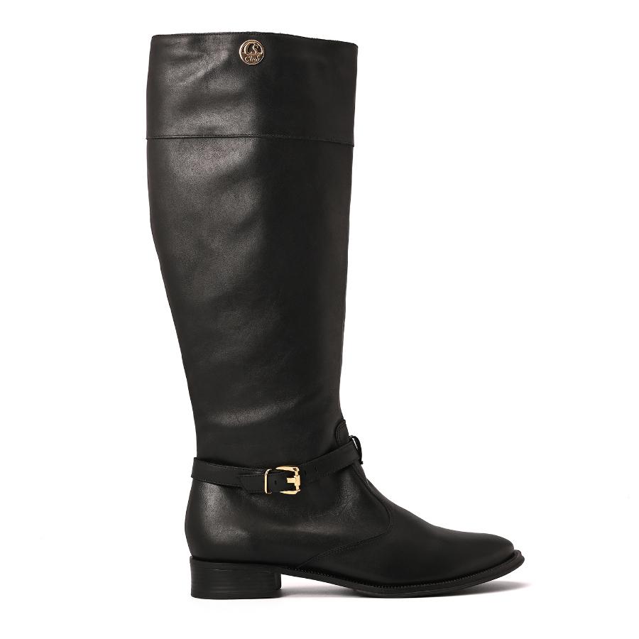 BOTA