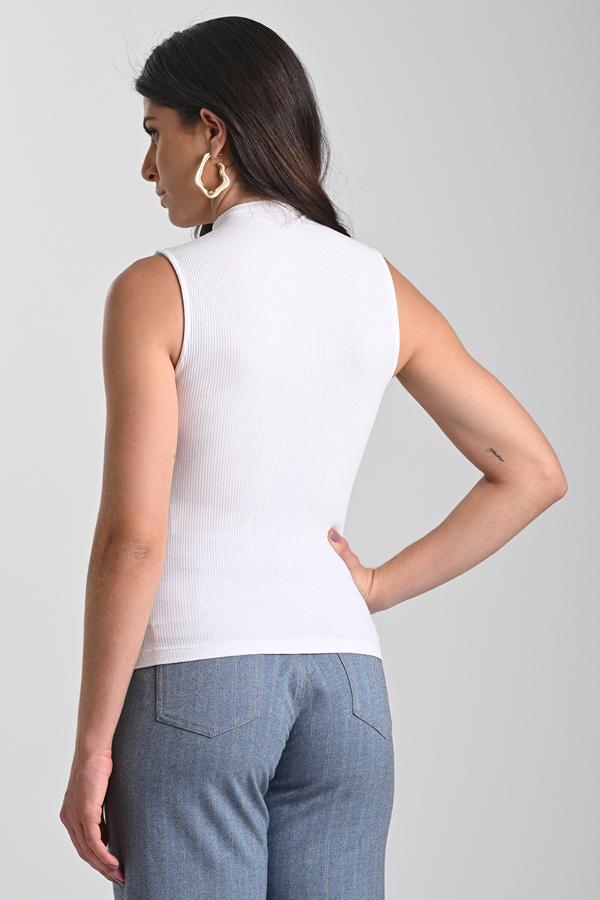 MUSCULOSA