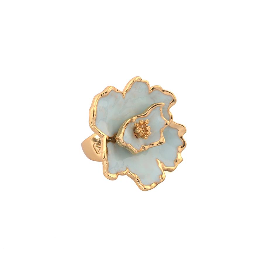 ANILLO